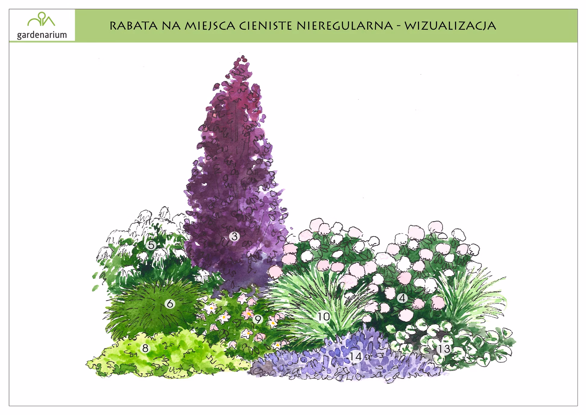 Nr 0001 Rabata na miejsca cieniste nieregularna Nr 0001 Rabata na miejsca cieniste nieregularna