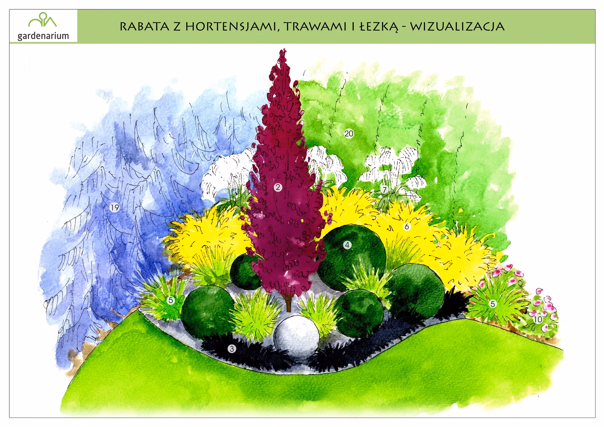 Nr 0014 Rabata z hortensjami, trawami i łezką