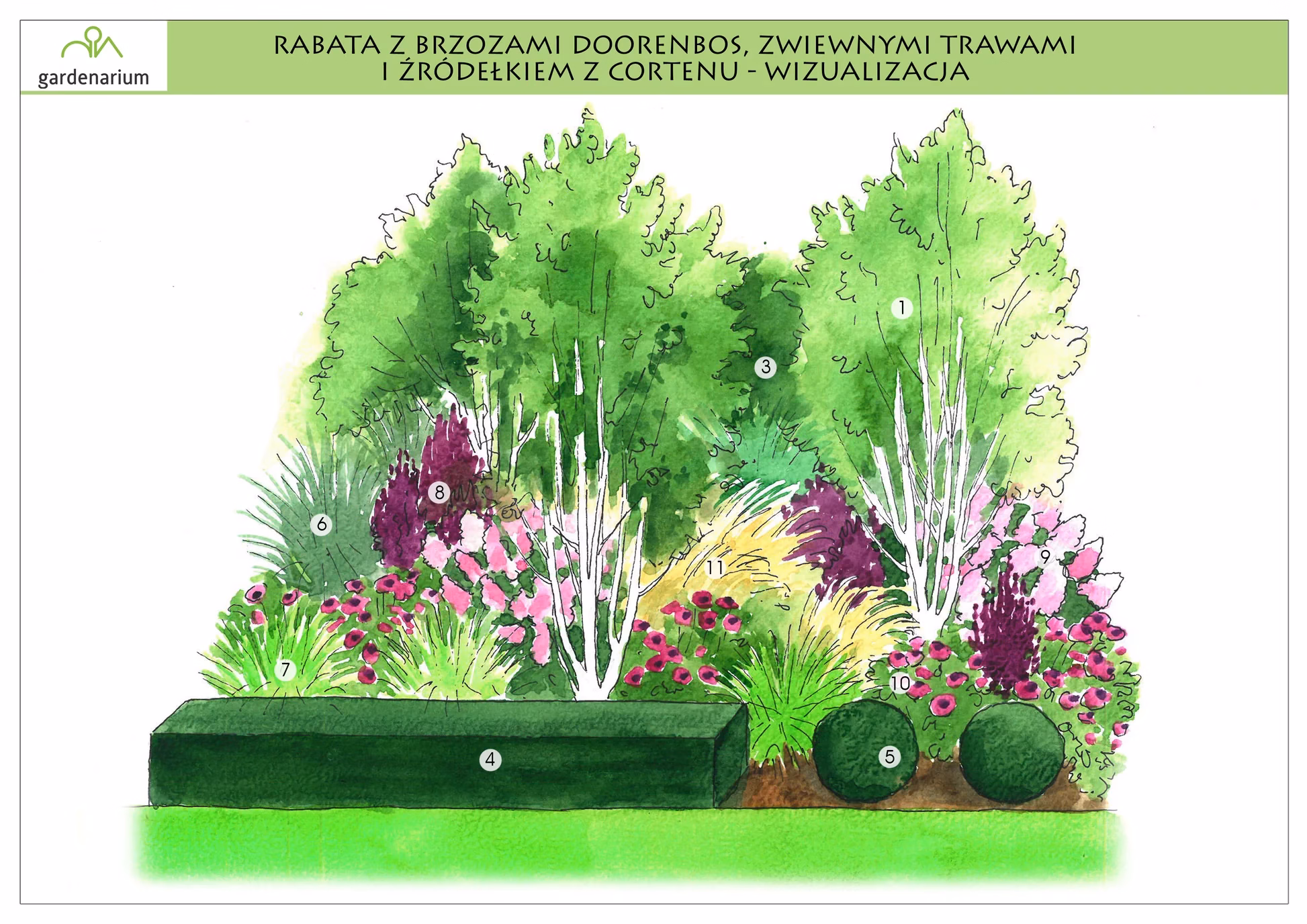 Nr 0015 Rabata z brzozami Doorenbos, lustrem, zwiewnymi trawami i źródełkiem z cortenu Nr 0015 Rabata z brzozami Doorenbos, lustrem, zwiewnymi trawami i źródełkiem z cortenu