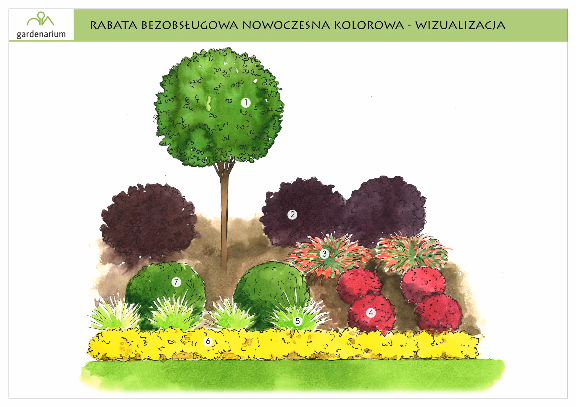 Nr 0017 Rabata bezobsługowa nowoczesna kolorowa