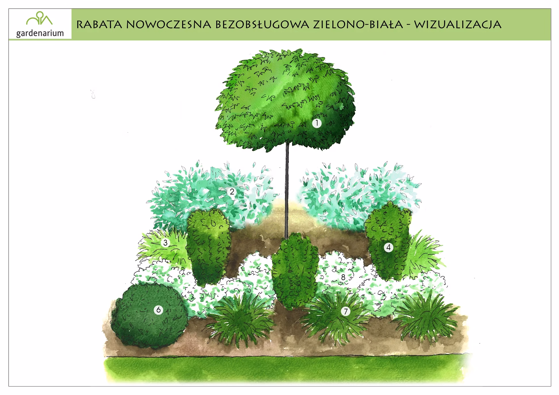 Nr 0018 Rabata nowoczesna bezobsługowa zielono-biała