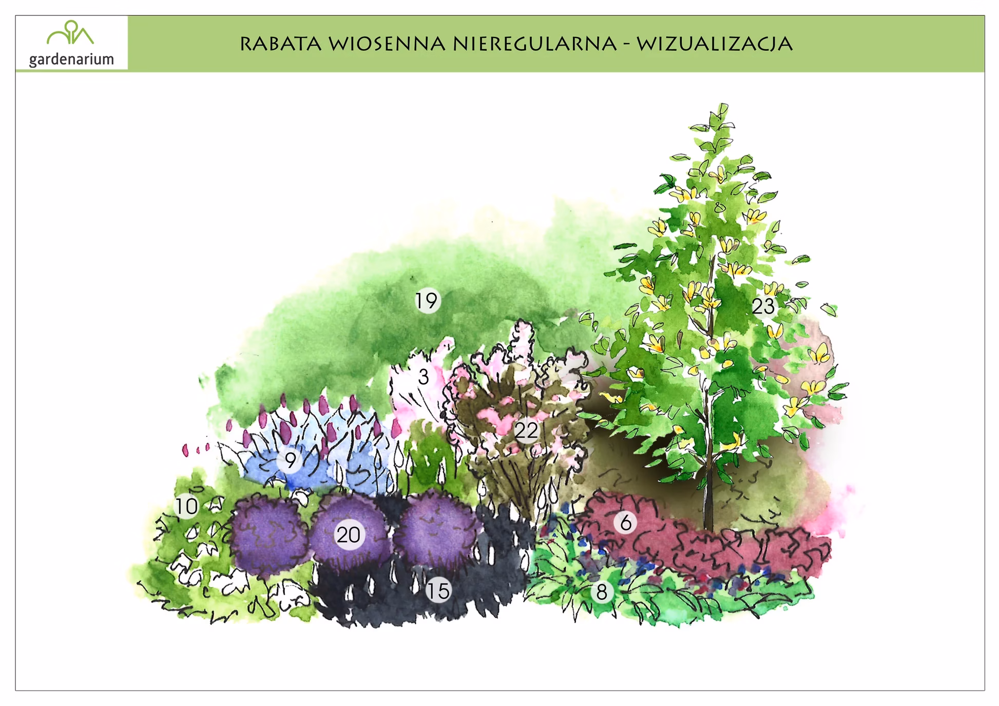 Nr 0008a Rabata wiosenna nieregularna